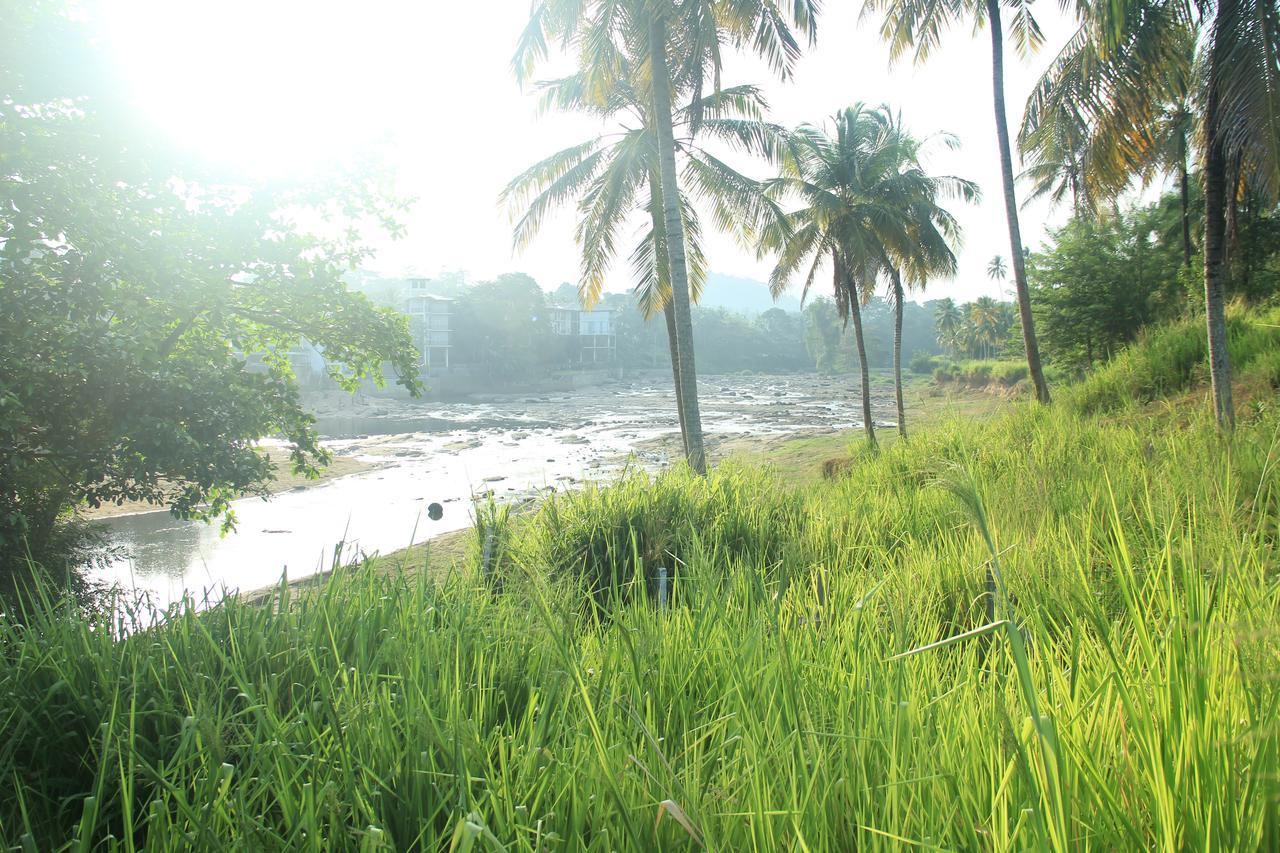 Ma Oya Retreat Pinnawala ピンナワラ エクステリア 写真