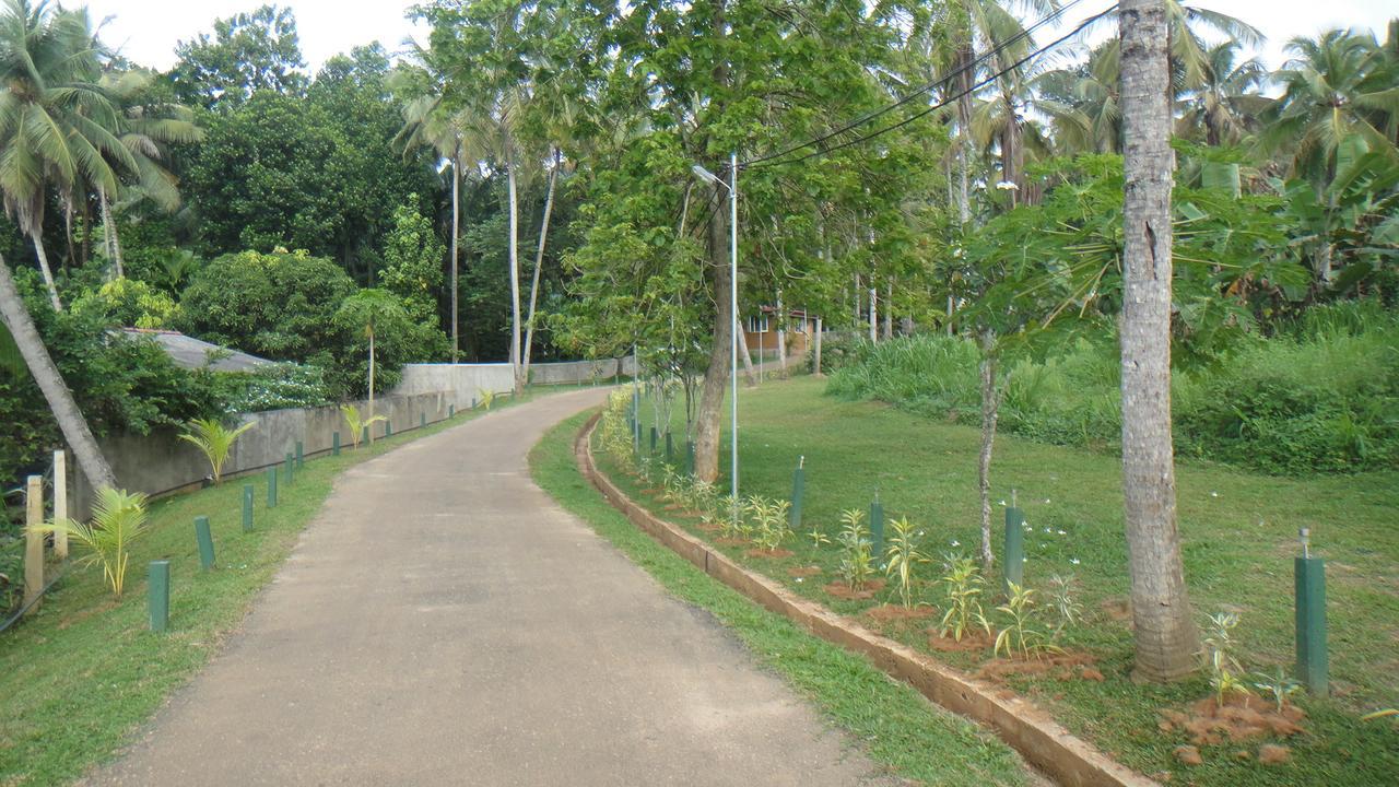 Ma Oya Retreat Pinnawala ピンナワラ エクステリア 写真