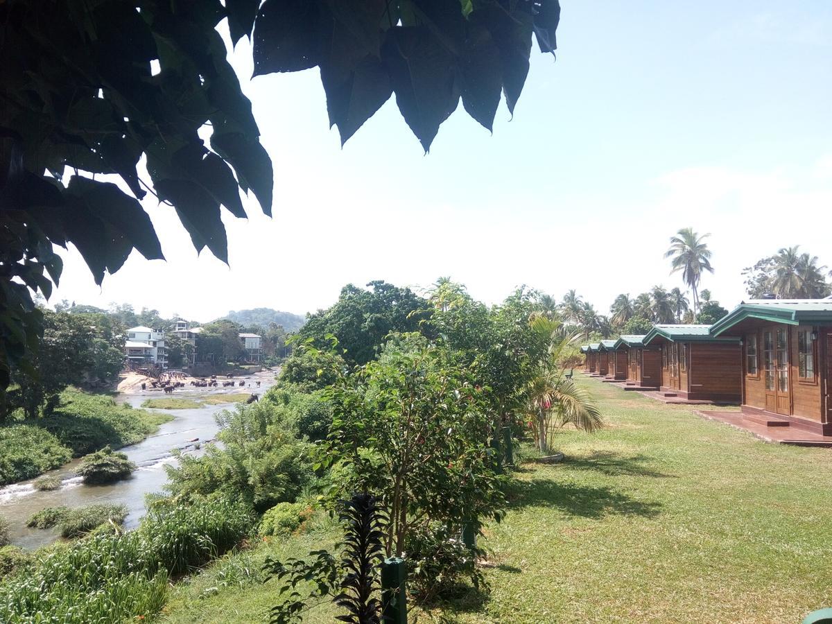 Ma Oya Retreat Pinnawala ピンナワラ エクステリア 写真
