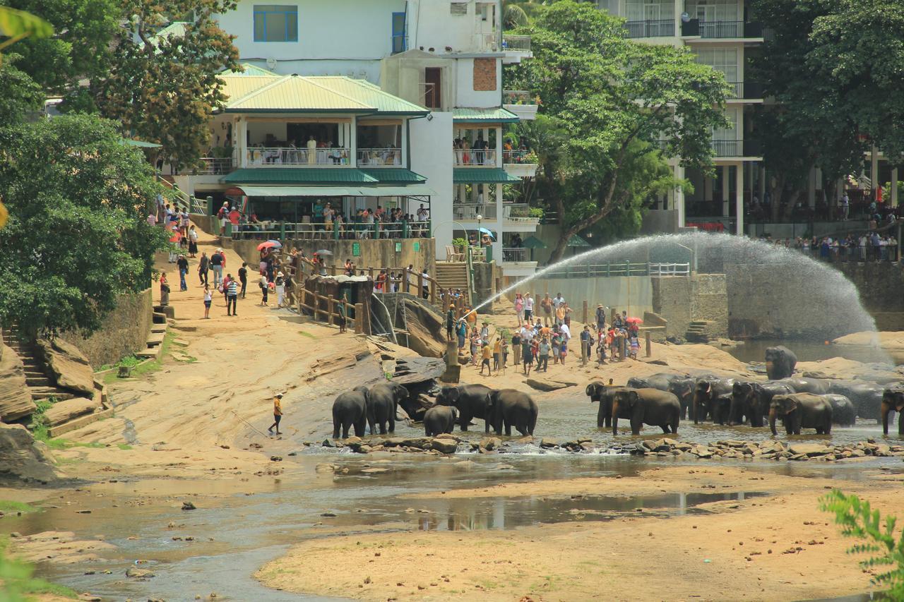 Ma Oya Retreat Pinnawala ピンナワラ エクステリア 写真