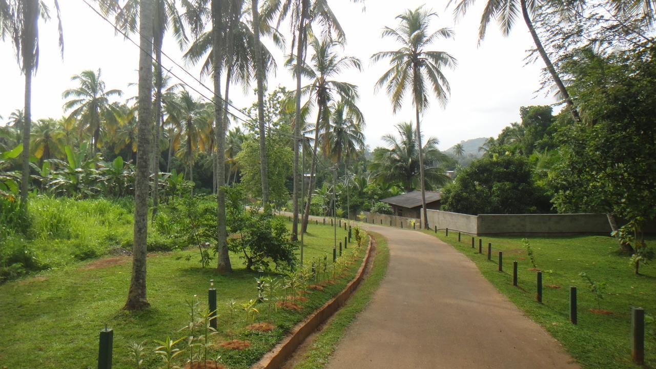 Ma Oya Retreat Pinnawala ピンナワラ エクステリア 写真